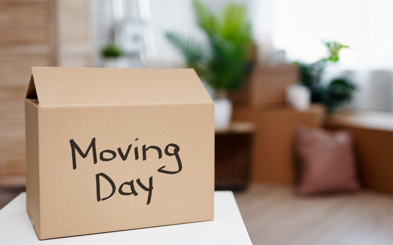 Brown box with moving day written on the side